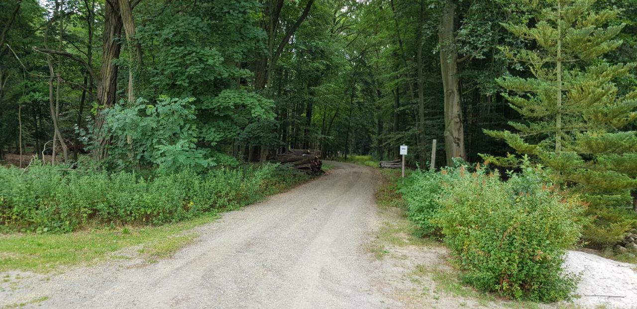Ferienwohnung "Waldfrieden" Altdobern Exterior foto