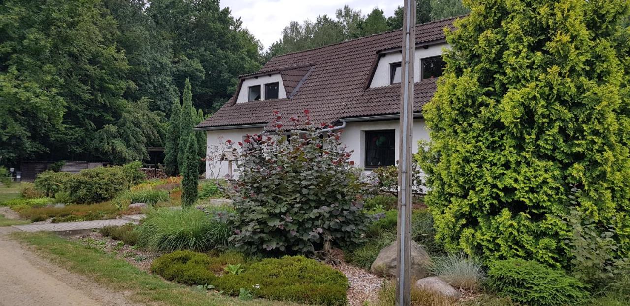 Ferienwohnung "Waldfrieden" Altdobern Exterior foto